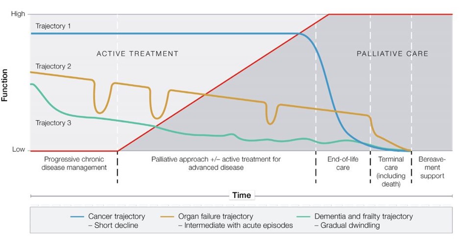 Typical Illness Trajectories. Available at The Royal Australian College of General Practitioners Silver Book https://www.racgp.org.au/silverbook